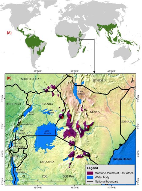 The global tropical forest region (A) and the East African Montane ...