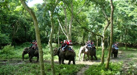 Chitwan national park travel guide for tourism in Sauraha