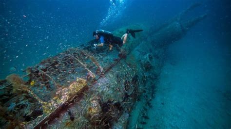 Exploring Ocean Mysteries: From Dynamic Shores to the Deep Sea