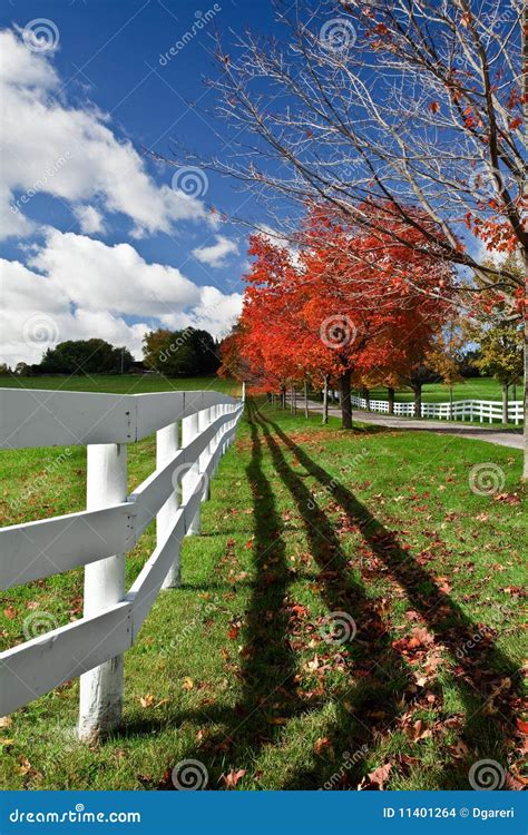 Autumn Scenery stock photo. Image of canopy, wide, trees - 11401264