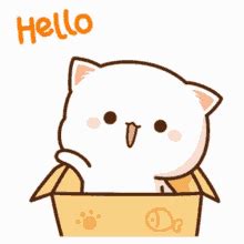 Hello Hi GIF - Hello Hi Jump - Discover & Share GIFs | Cute cat gif, Cute cartoon drawings, Cute ...