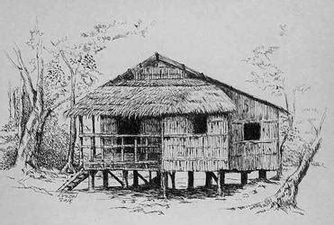 Nipa Hut Drawing at PaintingValley.com | Explore collection of Nipa Hut Drawing