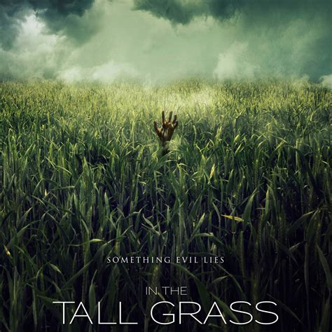 In the Tall Grass – Book Retorts