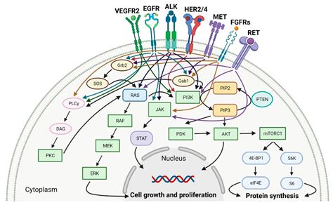 Molecules | Free Full-Text | FDA-Approved Small Molecule Compounds as Drugs for Solid Cancers ...