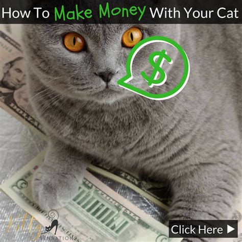 How To Make Money With Your Cat - 5 Proven Methods