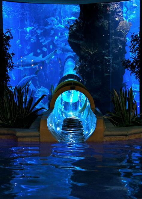 17 Best images about Indoor Aquariums on Pinterest