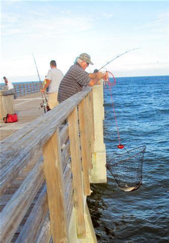 Pier Fishing Basics For Saltwater Fun And Fillets - Union Sportsmen's Alliance | Pier fishing ...