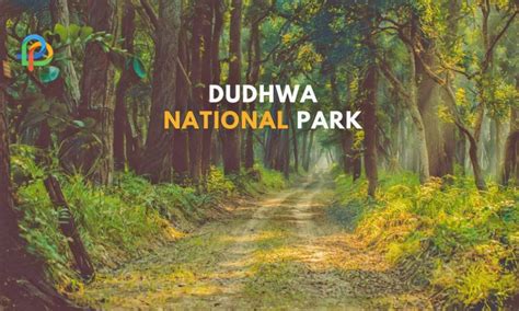 Dudhwa National Park: Here Is The Detailed Travel Guide!