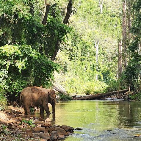 What is Mondulkiri known for - Mondulkiri Project