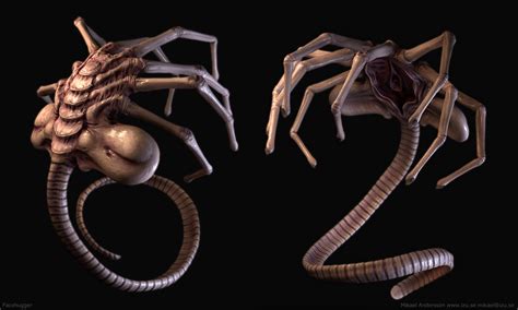 Facehugger by Izuael on DeviantArt