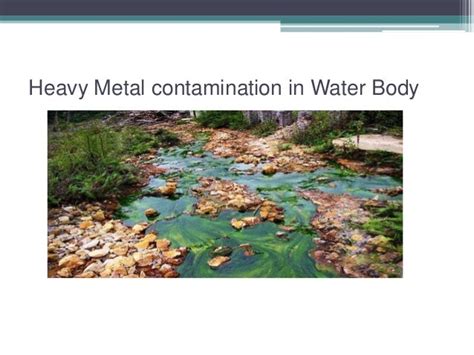 Water pollution due to heavy metals, pesticides