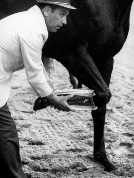 Ruffian | Horse racing, Ruffian, Beautiful horses