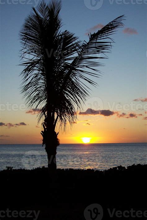 Gorgeous sunset with a palm tree silhouette 888617 Stock Photo at Vecteezy