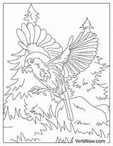 Free ROBIN Coloring Pages For Download Printable PDF sketch template
