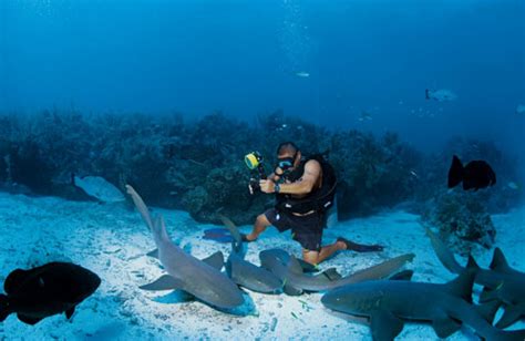 How To Nearly Die Scuba Diving in the Great Blue Hole, Belize (Caye Caulker) - Man vs Clock