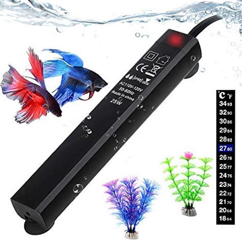 Best Betta Heaters for 1, 5 and 10 gallon tanks - Find Me 10