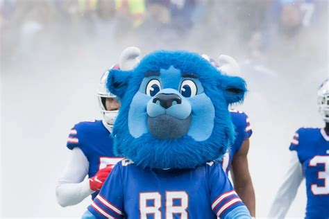 Meet Billy The Buffalo - Buffalo Bills Lovable Mascot