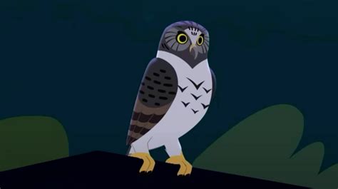 Powerful owl-new Wild Kratts preview | New ideas by Matt Weaver Wiki ...