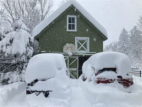 Buffalo, NY Snowfall Totals - November 2022 Storm