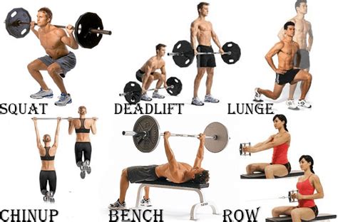 The 5 Exercises That Boost Testosterone DRAMATICALLY