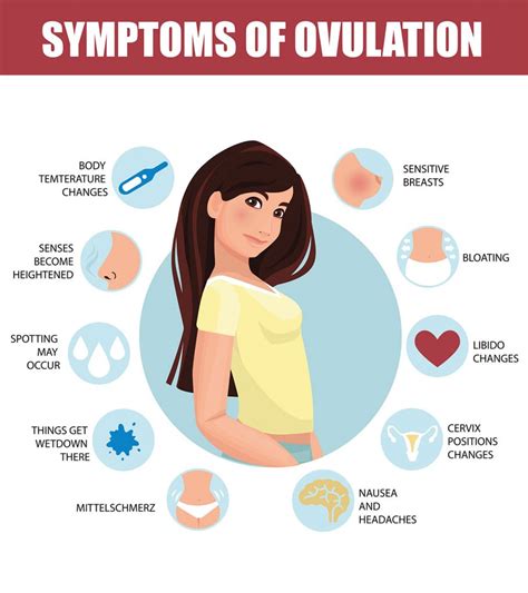 Symptoms Leading Up To Ovulation