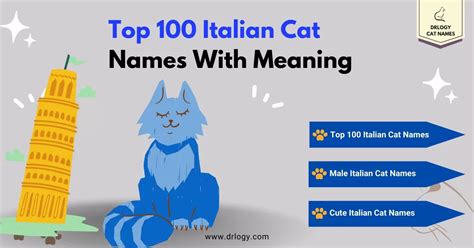 100 Best Italian Cat Names With Meaning - Drlogy Cat Names