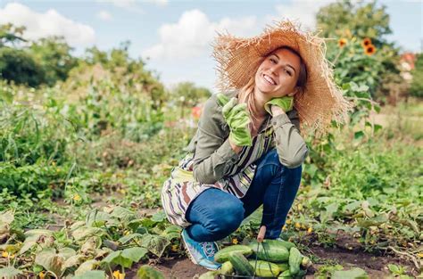 The Round Cucumber: Discover Its Unique Benefits And Uses