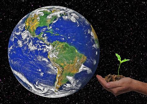 earth, globe hand, scion, hope, globe, climate protection, world, universe, ball, planet | Pxfuel