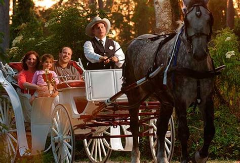 Disney World Carriage Rides and Horse-Drawn Excursions