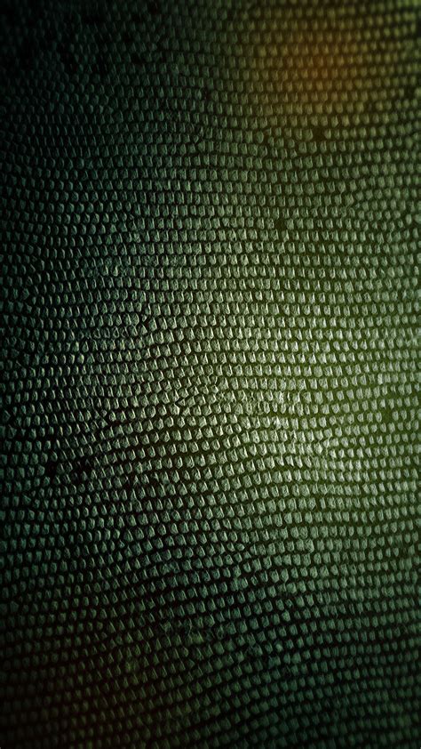 Black Snake Skin Wallpaper (55+ images)