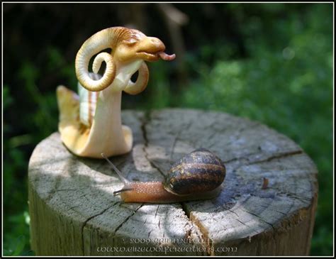 DragonSnail First Sight, snail by EirewolfCreations on DeviantArt ...