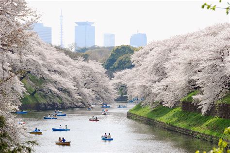 Tourist Attractions Ueno Park - Tokyo | Loveliest Places