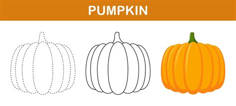 Pumpkin tracing and coloring worksheet for kids 12139287 Vector Art at ...