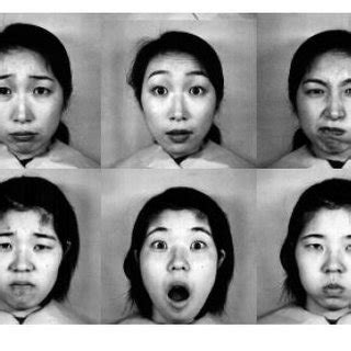 (PDF) Emotion Recognition Using Facial Expression