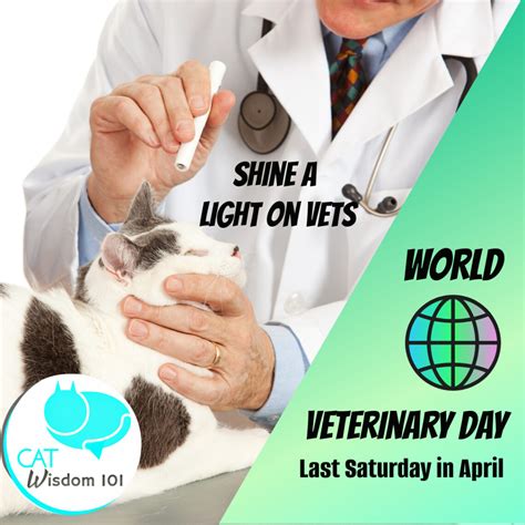 World Veterinary Day: What You Need To Know About Vets 🐱