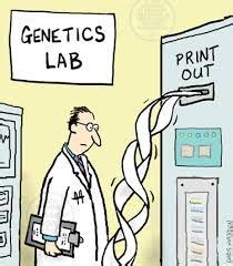 Image result for genetics cartoon | Science memes, Science humor, Genetics