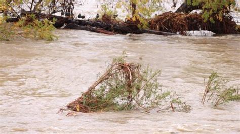 Very Flooded Los Angeles River After Stock Footage Video (100% Royalty ...