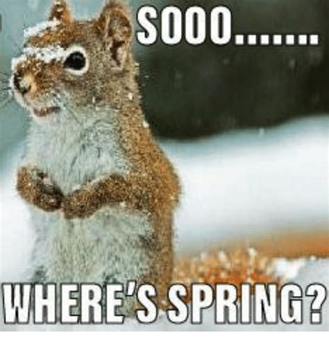 7 Funny Spring Memes to Welcome the New Season