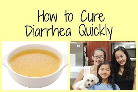 Homemade Dog Food To Treat Diarrhea - Homemade Ftempo