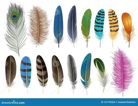 Feather Icon Set, Realistic Style Stock Illustration - Illustration of ...