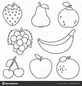 Vector Illustration Fruits Coloring Page Stock By  sketch template