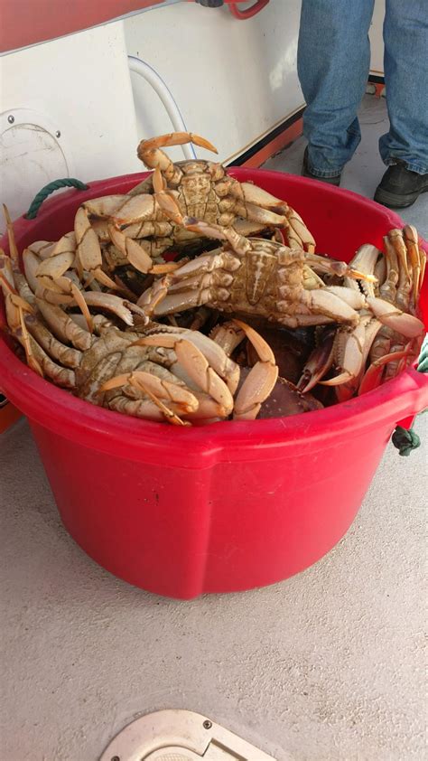 Crab Trips, Santa Cruz - Go Fish Santa Cruz Charters