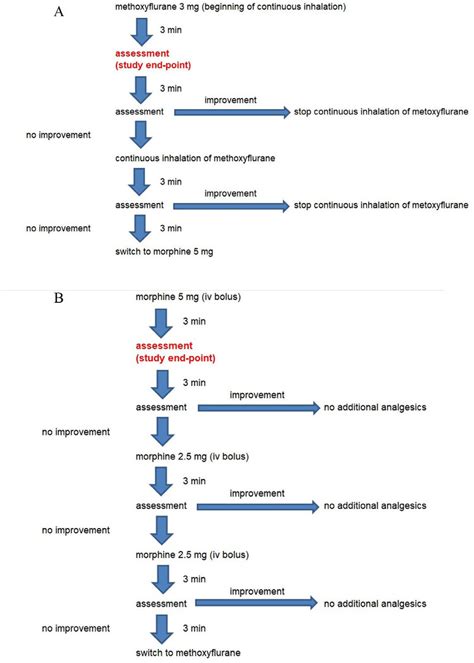 (A) The pathway of analgesic treatment in methoxyflurane arm. (B) The... | Download Scientific ...