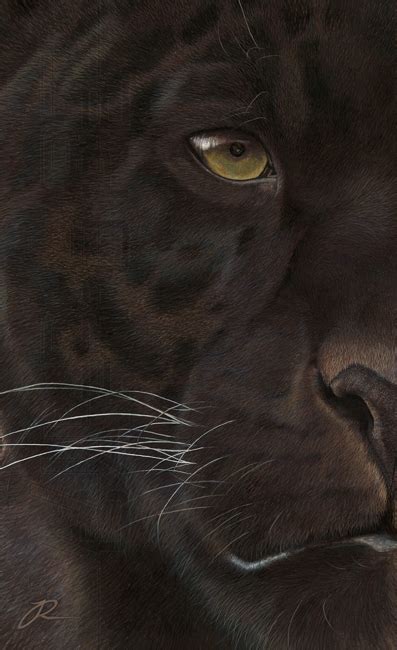 WildArtCapture | Julia Ruffles: FINISHED *Black Jaguar painting*