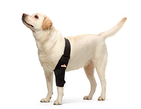 Best Dog Elbow Pads For Hygromas