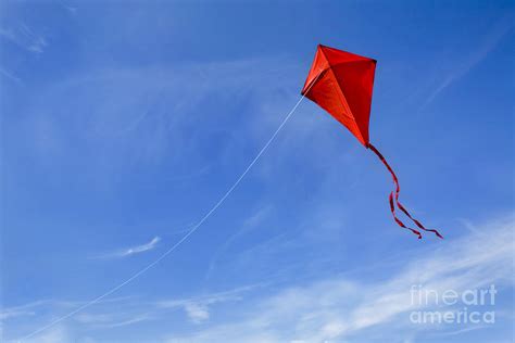 Red Kite In The Sky Photograph by Diane Diederich