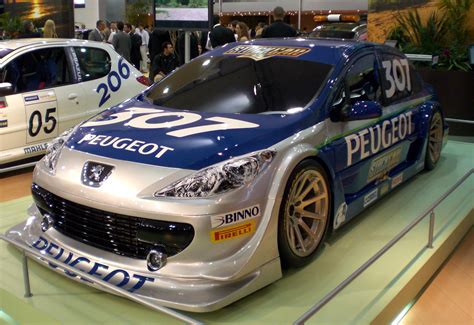 File:Stock Car V8 Brasil 2007 Peugeot 307 concept.jpg - Wikipedia