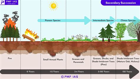 [E003] Functions of Ecosystem, Ecological Succession, Primary & Secondary Succession ...