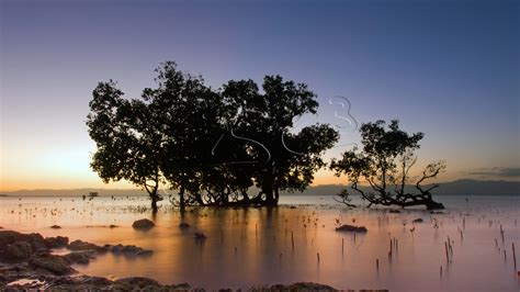 Mangrove Sunset - BC3 Photography - The Calm Shoreline of Rhonda on Cebu