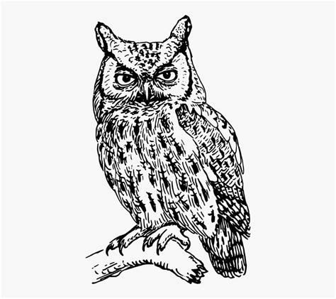 Barred Owl Clipart Free Printable - Owl Black And White , Free Transparent Clipart - ClipartKey